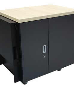 APC by Schneider Electric AR4018IA NetShelter CX 18U Secure Soundproof Server Room in a Box Enclosure International